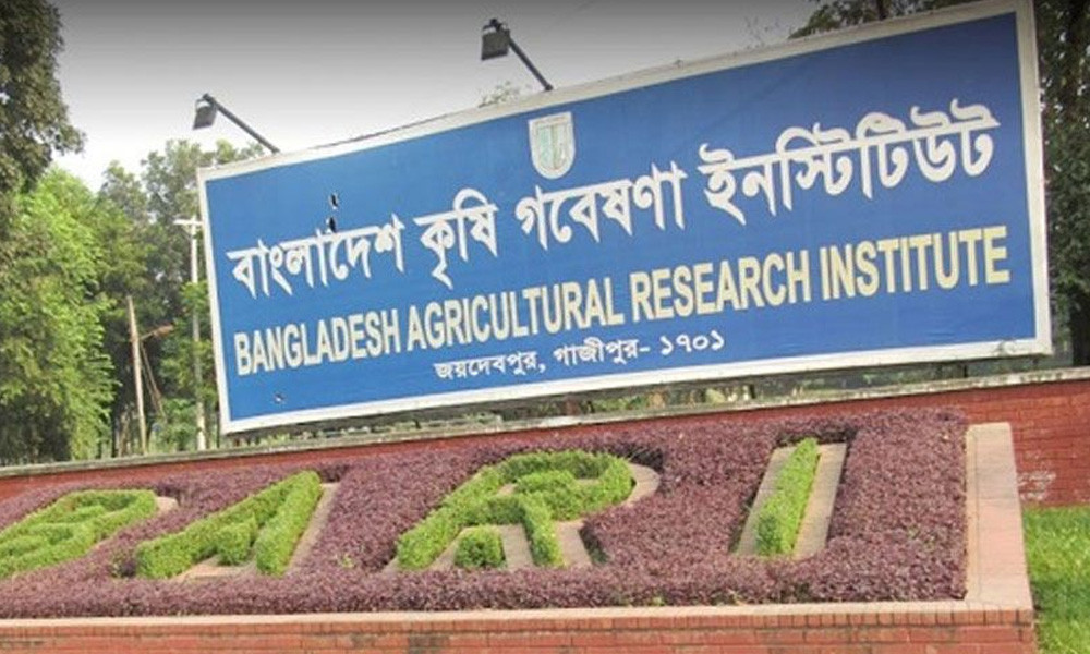 পরীক্ষা না দিয়েই সরকারি চাকরি পেয়েছেন ৪২ জন